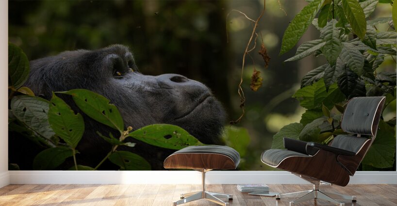 Lookin to Sky to Save Me Wall Murals