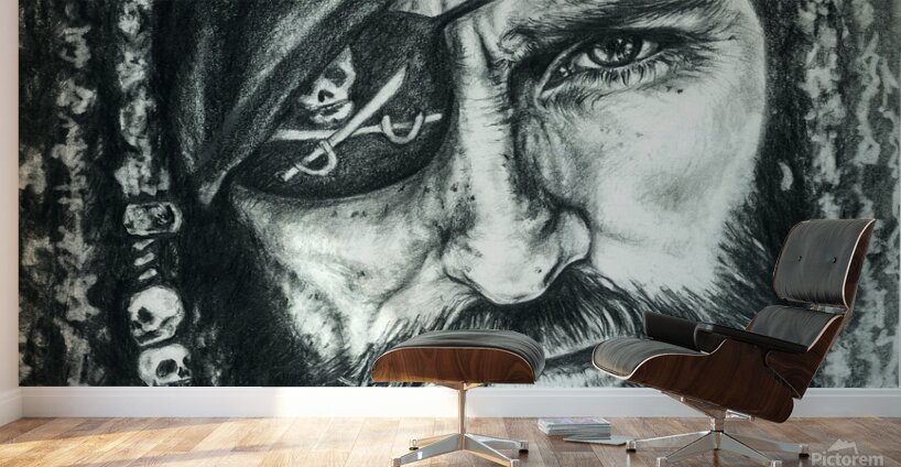 Pirate Wall Murals