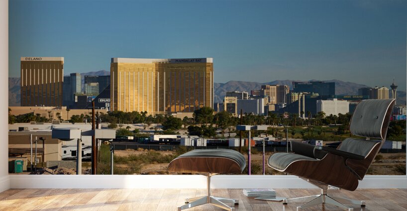 Las Vegas Skyline A9201506 Wall Murals