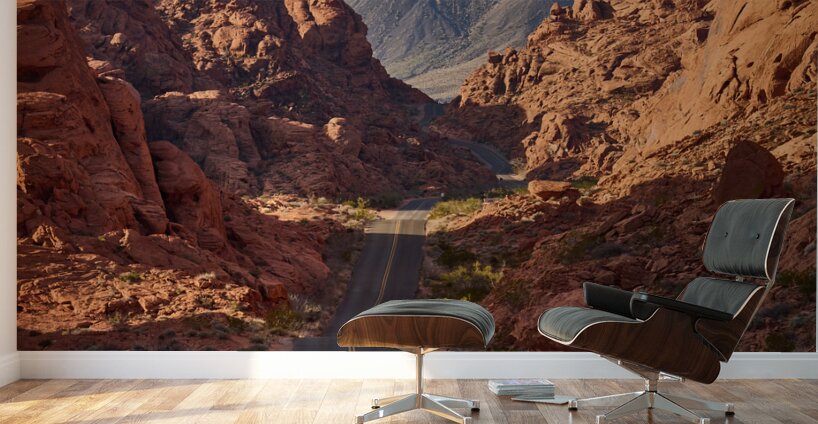 Mouse Tank Road at Valley of Fire State Park NV S 1708348695.6231 Wall Murals