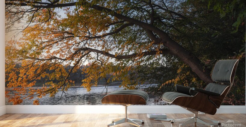 Here comes the autumn on the small lake Wall Murals