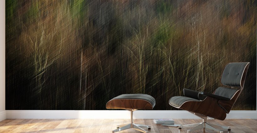 ABS 01968 Wall Murals