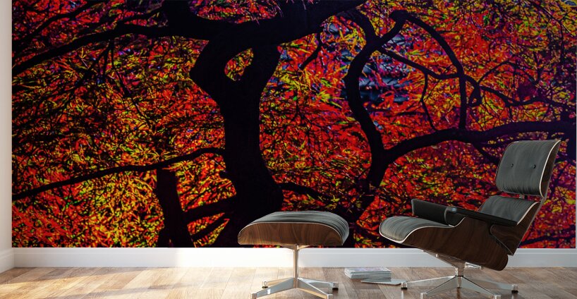 ABS 02014 Wall Murals