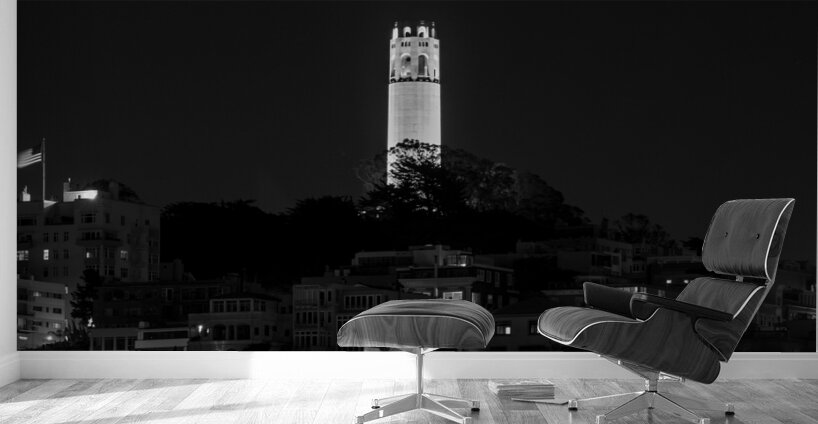 coit tower from russian hill  panoramic 494 Coit Wall Murals
