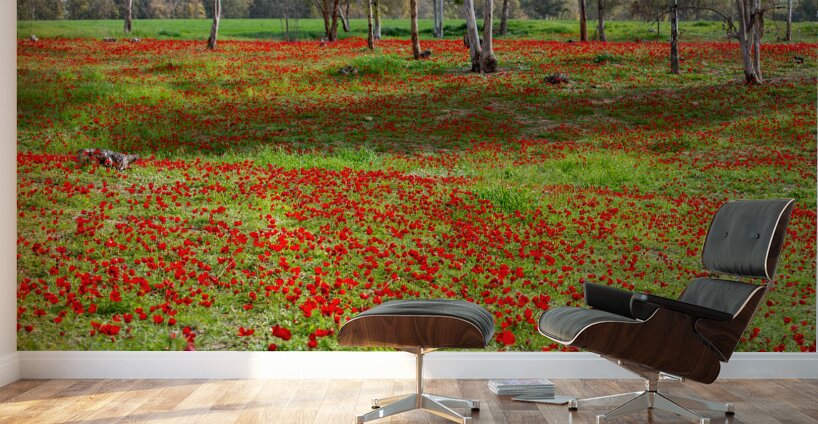 PIC12981 Wall Murals