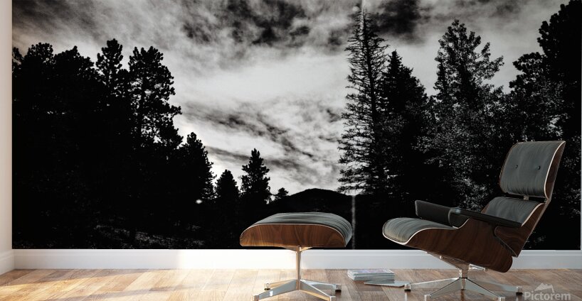 A Dark  Stormy Night Wall Murals