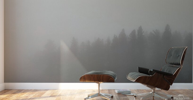 The Whispering Wood Wall Murals