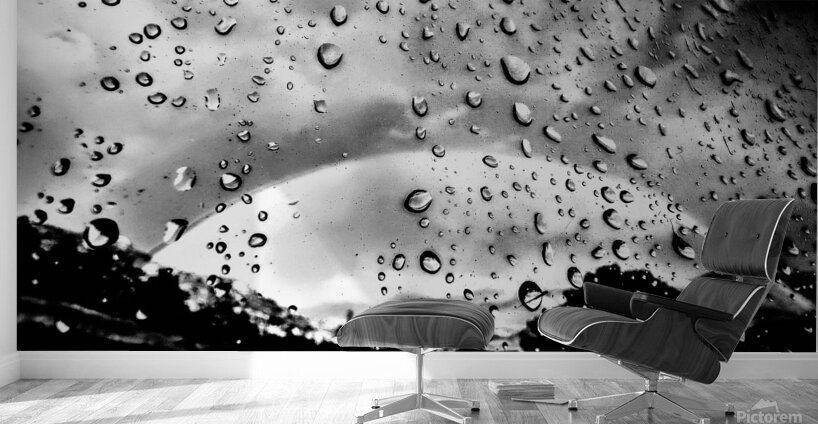 Silver  Rainbow Wall Murals