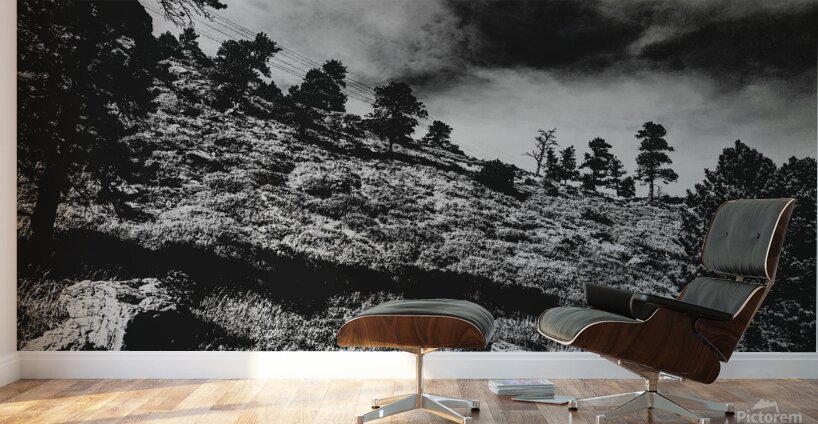 The Sky Cracked Open Wall Murals