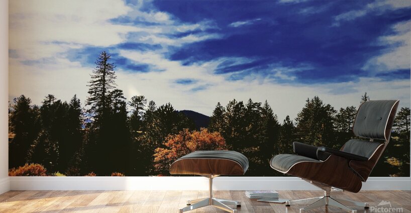 Pumpkin Vibes Wall Murals