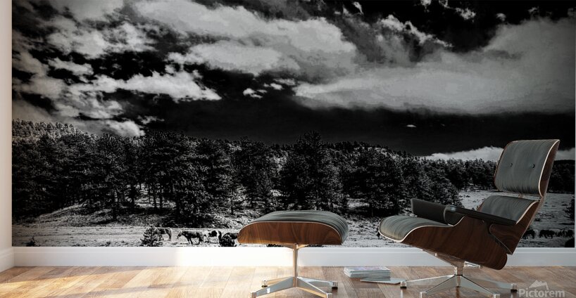 Horse Sky Wall Murals