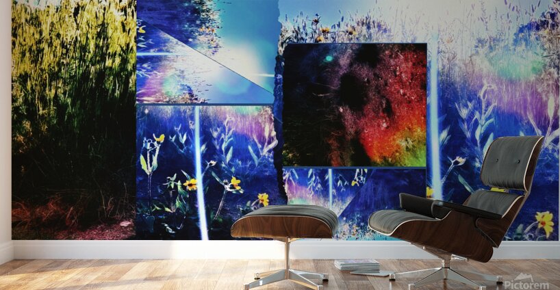 The Stars and the Dirt Wall Murals