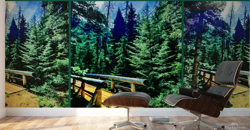 Through the Forest Wall Murals