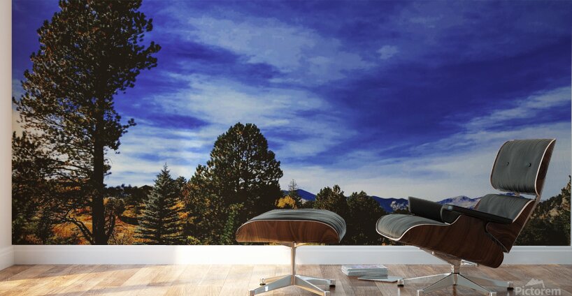 Umber Mountain Wall Murals