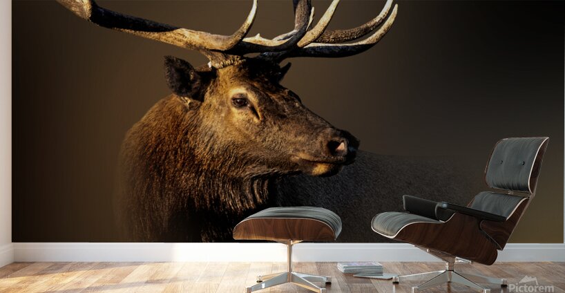 My Eyes Are Down Here Wall Murals