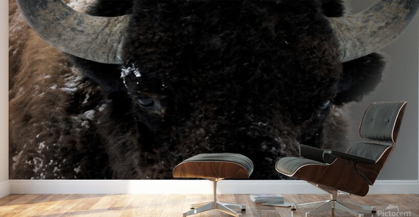 Warm Winter Coat  Wall Murals