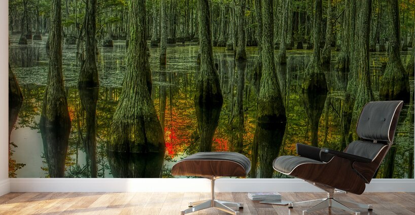 LAN 02090 Wall Murals