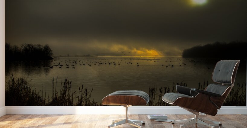 LAN 02074 Wall Murals