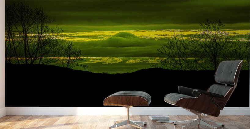 LAN 02048 Wall Murals