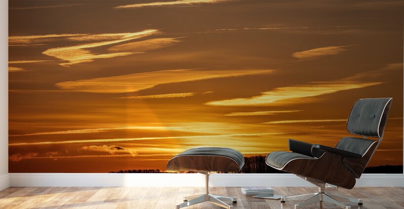 LAN 02069 Wall Murals