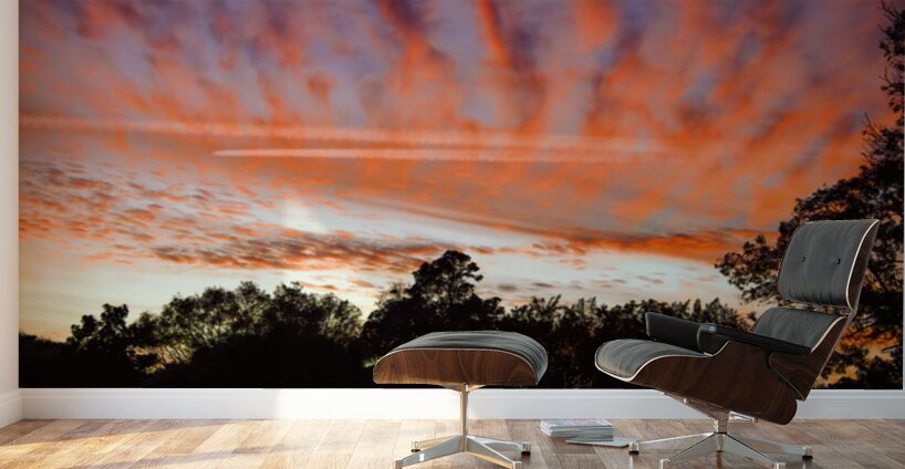 Airplane Contrails in the Sky Wall Murals