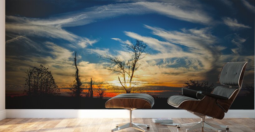 Road Trip to Charleston Sunset Wall Murals