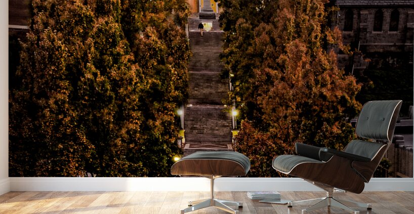 Lynchburg Monument Terrace in Autumn Wall Murals