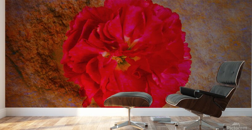 IMG 4994 5 Wall Murals