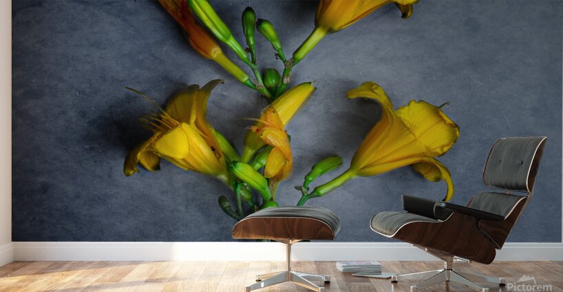 IMG 5445 3 Wall Murals