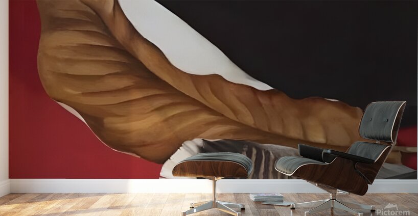 Georgia Okeeffe - Feather And Brown Leaf . A Wall Murals