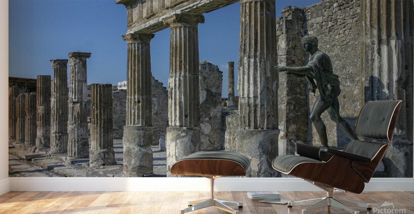 Apollo statue Wall Murals