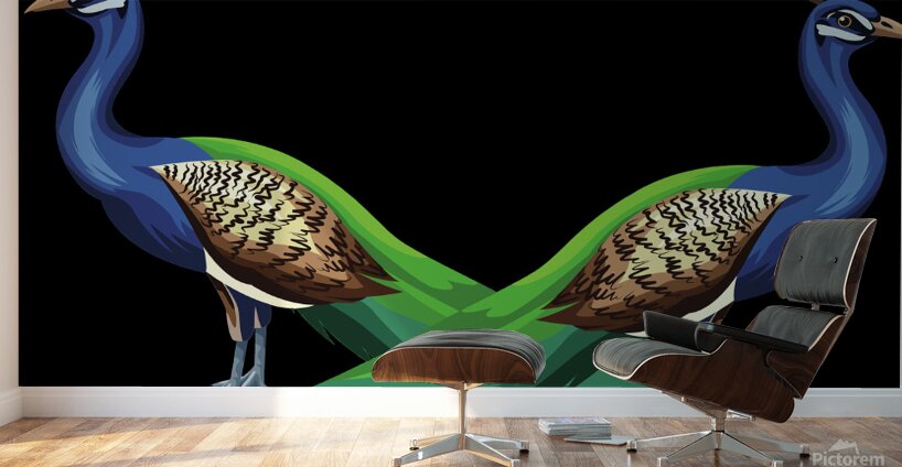 peacocks birds animals peafowls peafowls wildlife Wall Murals