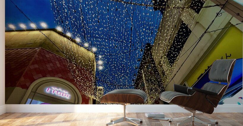 Myeongdong Shopping Street Wall Murals