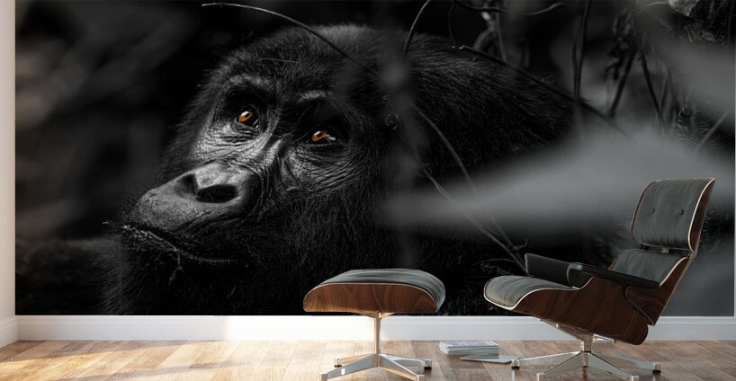 Do You Remember When Wall Murals