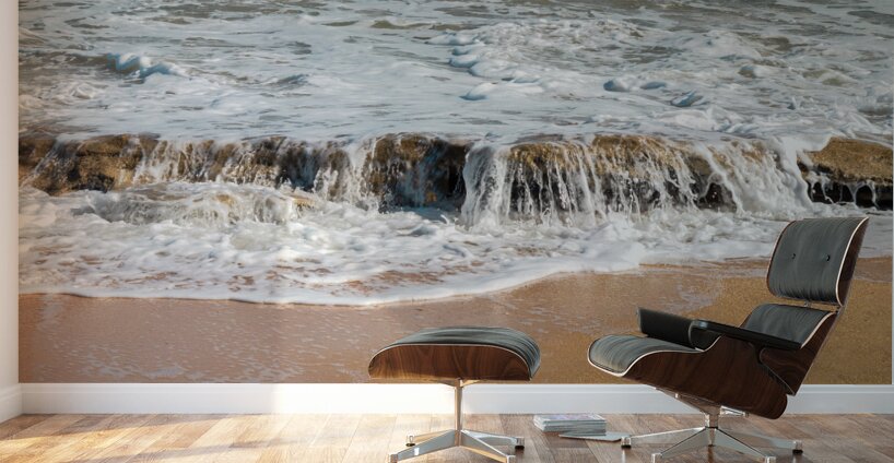 Precious Jewels in the Surf Wall Murals