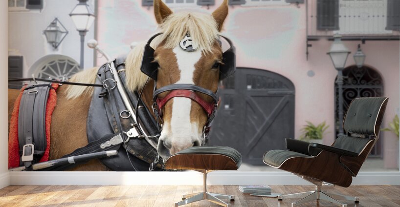 Charleston Rainbow Row Carriage and  Horse  Wall Murals