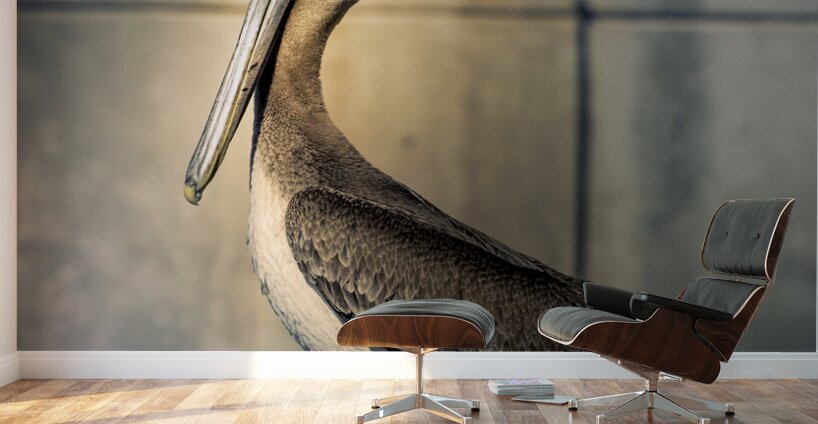 Big Beautiful Strutting Bird Wall Murals