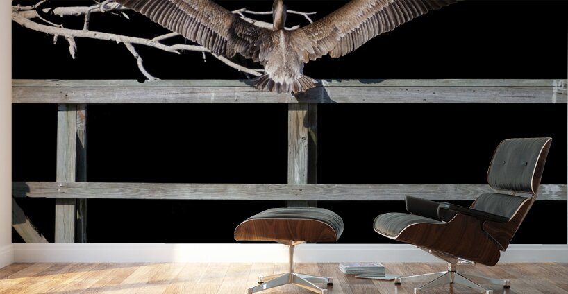 NASA Restricted Area Pelican Wall Murals