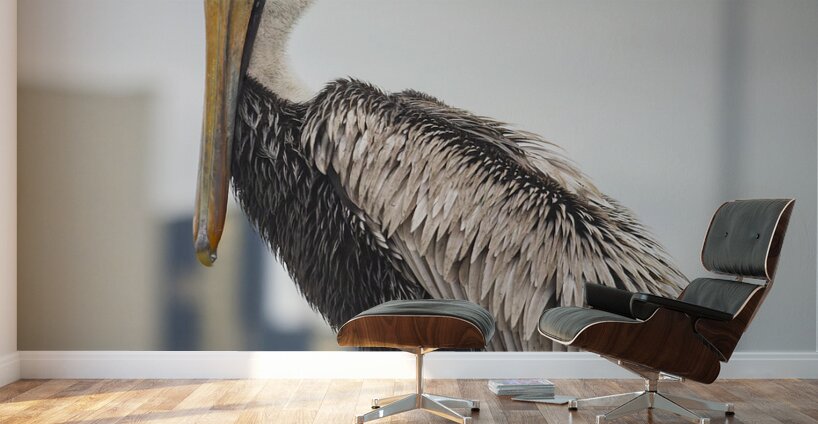 Pelican King of the Mountain Wall Murals