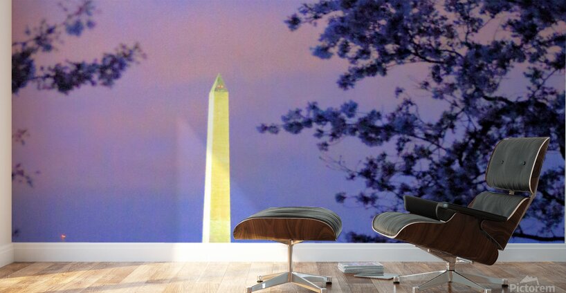 Early Morning at the Reflectimg Pool Washington M Wall Murals