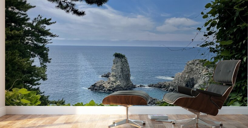 Oedolgae Rock Wall Murals