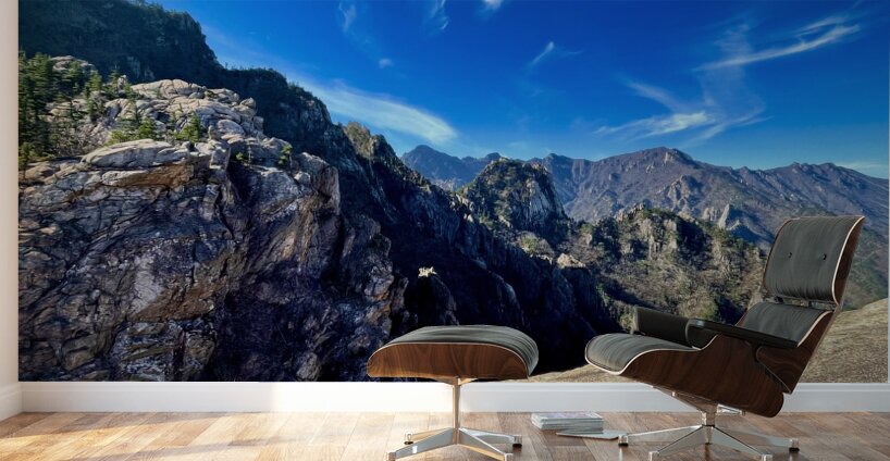 Over the Edge Seoraksan Wall Murals