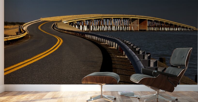 Maryland Slalom Course Wall Murals