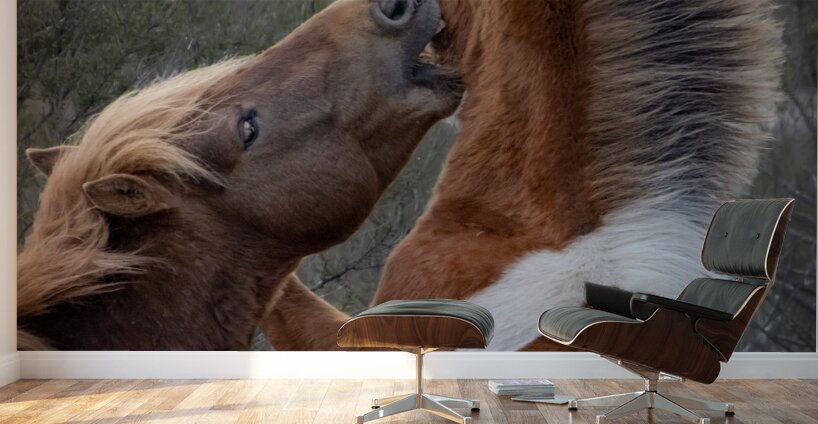  Nip of the Day Wall Murals