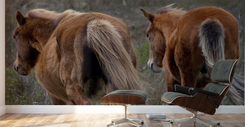 Paired Together Wall Murals