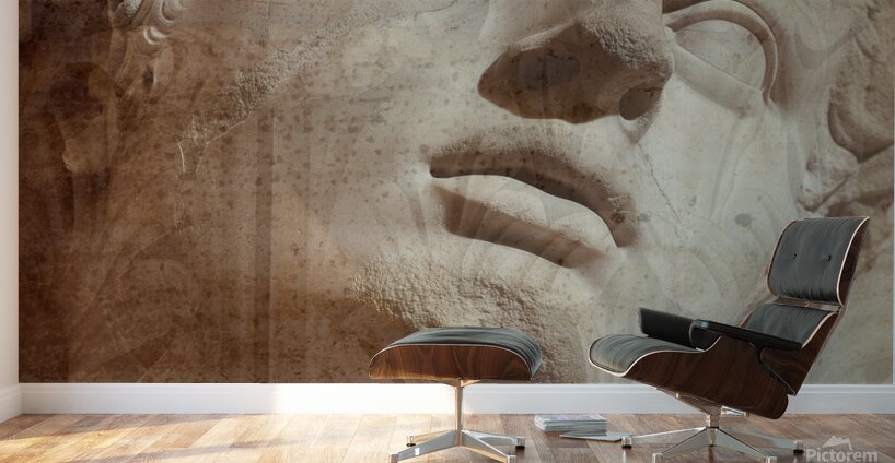 Classic Beauty  Wall Murals