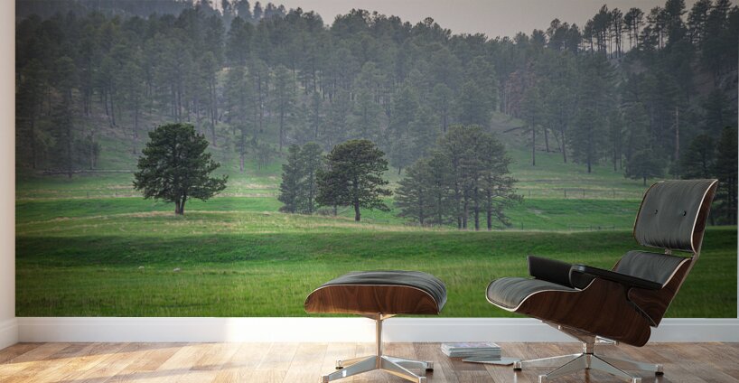 Serene Countryside Dreams Wall Murals