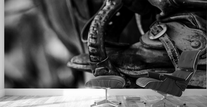 texas cowboy boot in stirrup  panoramic 818 Stirr Wall Murals