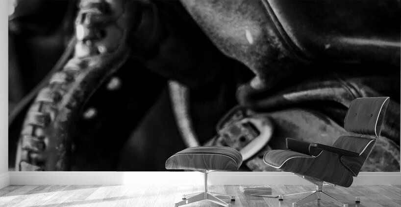 texas cowboy boot in stirrup  vertical 818 Stirru Wall Murals