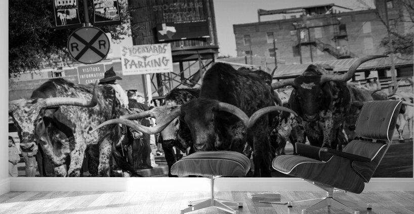 stockyard cattle drive  horizontal 803 Drive 13k. Wall Murals